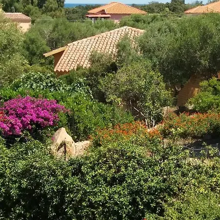 Settimo Cielo Oda ve Kahvaltı San Teodoro (Sardinia)